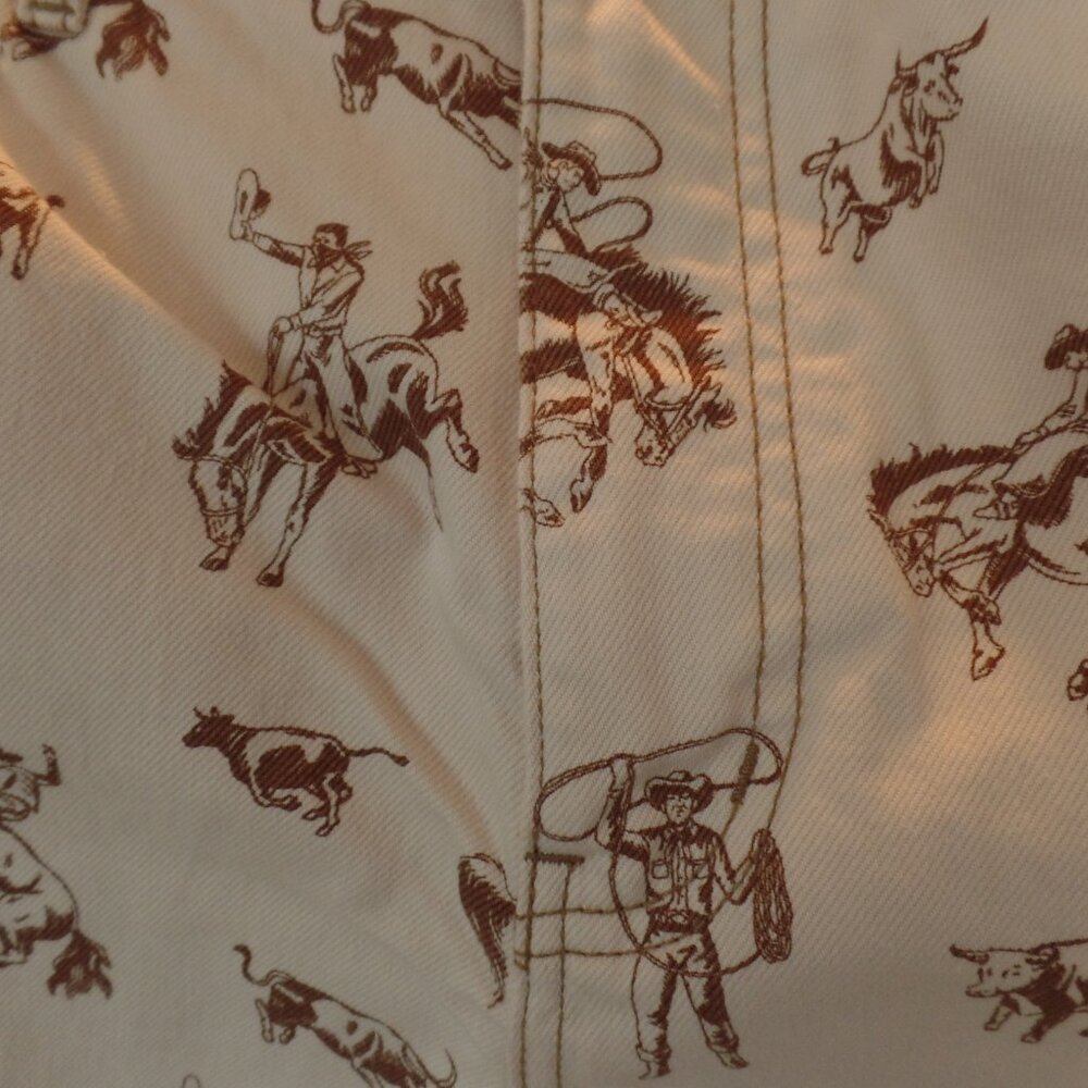 URBAN OUTFITTERS BDG Cowboy Print NWOT Straight Utility Jeans Size 36/16 UNISEX - Picture 5 of 13